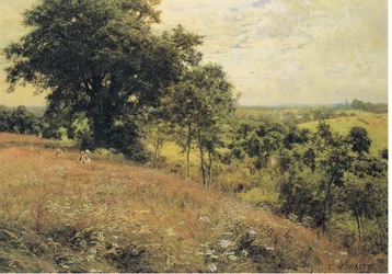 A réten