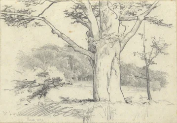 Nr. Lyndhurst, 1871. aug