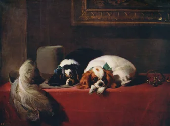 King Charles Spaniels The Cavaliers Pets, 1845, c1915