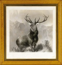 A Glen uralkodója, 1852