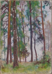 Fenyők