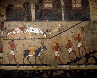 Egyiptomi ókor: a búza szállítása márna és rabszolgák hátán. Neferou királynő sírjának freskója III. 12. dinasztia. Kr.e. 2200-2000. El Ghebelenből. Torino, egyiptomi múzeum