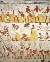 Egyiptom, Théba, Luxor, Abd al-Qurna sejk, Menna királyi birtokfelügyelő sírja, előcsarnok, falfestmények, szántóföldi munka