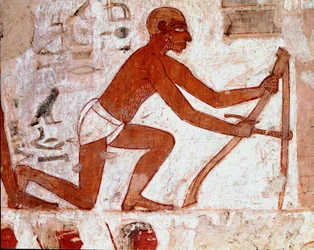 Egyiptomi művészet: Rekhmire sírja. Ploucher dolgozik a mezőgazdasági szerszámával. Luxor freskója (Téba helye, Abd al-Gournah (Gournah) sejk nekropolisza, a Nílus bal partja, Egyiptom. - Ókori Egyiptom: Rekhmire sírja. Egy szántó munkája agrijával