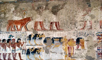Egyiptomi antikvitás: „” áldozathordozók és sírás”” Ramose vezír sírjának freskója (18. dinasztia). Luxor, Ciszjordánia, Nemesek Völgye Egyiptom – Ókori Egyiptom: hordozók és gyászolók felajánlása. Freskó Ramose vezír sírjából (18. sz