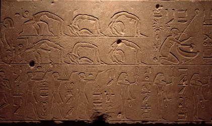 Egyiptomi ókor: egy vésett freskó részlete, amely táncosokat, torzítókat és zenészeket ábrázol. Hatsepszut királynő (Hatsepszut) 18. dinasztia időszaka. Luxor, Egyiptomi Művészeti Múzeum