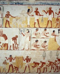 Termény betakarítása, gabonacséplés és -szeletelés, részlet Menna sírjának előcsarnokában, Sheikh Abd el Qurnah Necropolis, Luxor, Théba freskóiról (az Unesco világörökségi listája)