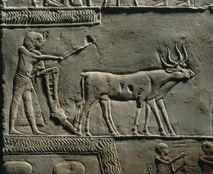 Horemheb szántás közben Iaru mezején. Horemheb sírjának reliefje Szakkarában, részlet.