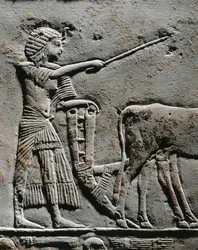 Horemheb a földet szántja Iaru mezején, dombormű Horemheb sírjából Szakkarában, részlet