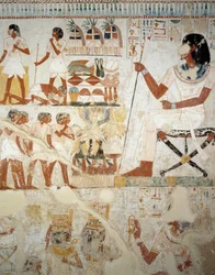 Menna munkásait felügyeli a szántóföldeken, részlet a Menna sírjának előcsarnokának freskóiról, Sheikh Abd el Qurnah Necropolis, Luxor, Théba (az UNESCO világörökségi listája)