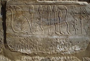 Állatok és növények domborműve, amelyeket III. Thutmózes ajánlott fel Amunnak a szíriai hadjáratból való visszatérésekor, Kr. e. 1465, Botanikus kert terem, Karnak, thébai nekropolisz, Luxor, Egyiptom, Újbirodalom, XVIII. dinasztia.
