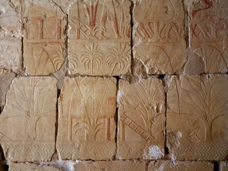 Növényzet, Punt földjére induló expedíciót ábrázoló jelenet részlete, festett dombormű, Punt kolonnádja, Hatsepszut halotti temploma, Deir el-Bahari, thébai nekropolisz (Unesco Világörökségi Listája).