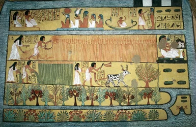 Egyiptom, Théba, Dayr al-Madinah (Deir el-Medina) állami munkások faluja, Sennedjem sírja, Ialu mezőin mezőgazdasági jeleneteket ábrázoló freskó, Újbirodalom, XIX. dinasztia