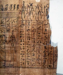 Halottak könyve: egyiptomi hieroglifa a 22. dinasztia papiruszán. Részlet. Kr. e. 9. század. Torino, Egyiptomi Múzeum.