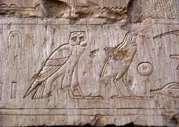 Egyiptomi ókor: baglyot és sast ábrázoló dombormű. Ankh-Hor sírja (Ankh Hor) (TT414) (26. dinasztia, ie 672-525), Luxor (Théba), Egyiptom