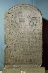 Az Ápisz-bika temetésének emlékére állított sztélé II. Ahmósze (Amaszisz) uralkodása idején, a szakkarai Szerapeumból, kései kor, Kr. e. 547