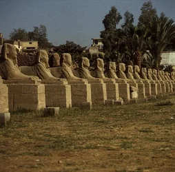 Szfinxek sugárútja, I. Nektanebo (Kr. e. 380-362) késői időszak