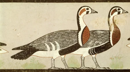 Meidum libák, Nefermaat és Atet sírjából, Óbirodalom, Kr.e. 2620 körül (festett stukkó)