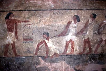Hálókat húzó halászok festménye II. Khnumhotep sírjában, Óbirodalom, ie 2600-1500 (falfestmény)