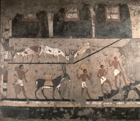 Mezőgazdasági jelenet, Ti szakkarai masztabájából eltávolított falfestmény, Óbirodalom, kb. i. e. 2494-2345