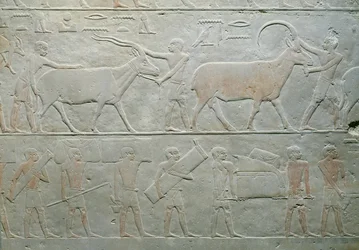 Orixot és antilopot vezető szolgák és mások poggyászt szállító szolgák Akhethotep Mastabából, Szakkarából, Óbirodalomból, ie 2400 körül (festett mészkő)