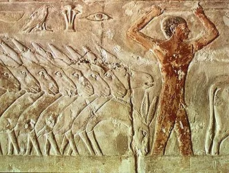 Szamarak csapata, a Mererukai Mastabából, Régi Királyság (falfestmény)