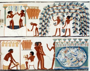 Egyiptomi művészet: Szőlőszedés és taposás. Nakht sírja, II. Amenhotep kora (kb. i. e. 1450-1425). Párizs, Collège de France