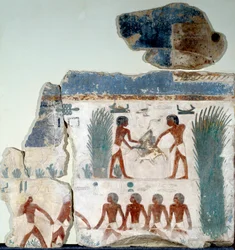 Egyiptomi ókor: nyár eleje. Madarakat öl meg két paraszt. Egy festett mészkőfreskó részlete Abu Gurob szoláris templomából. Berlin, Egyiptomi Múzeum