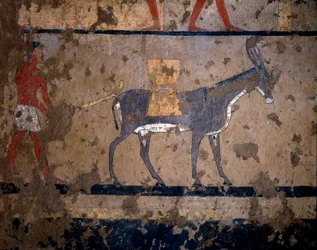 Egyiptomi ókor: „” gabonaszállítás öszvér hátán”” Temperafestmény Iti (vagy Ity) király kancellár sírjának faláról Kr.e. 2200-2000. El Ghebelenből, Luxorból. Torino, egyiptomi múzeum