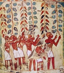 Egyiptomi sír falfestmény