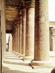 Oszlopok a Hórusz-templom pronaoszában (Hypostyle Hall).