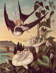 Illusztráció Hans Christian Andersen (1805-75) "Thumbkinetta" című művéhez, 1872 körül.