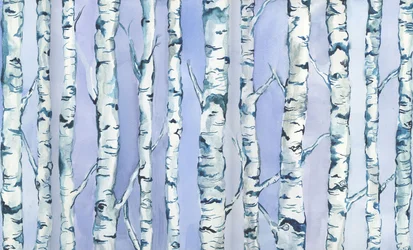 Silverbirch Forest, 2018 (akvarell és akril)