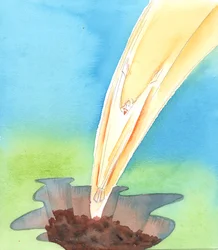 A bűntelen Krisztus számára bűnös világba jönni olyan volt, mint emésztőgödörbe ugrani, 2005