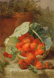 Eper káposztalevélben, 1891
