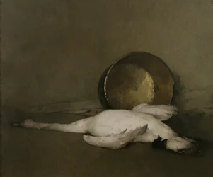 A vad hattyú, 1902