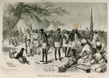 Az expedíció pimasz hordozói láncra fűzték Emile Bayard rajzát, hogy illusztrálják a történetet: Afrika szerte, Zanzibártól (Tanzánia) Bengueláig (Angola), 1872-től 1876-ig, V. H. Cameron hadnagy. Gravírozás a Le tour du monde-ban