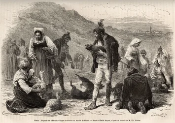 Pisino (Horvátország) környéki parasztok összegyűlnek, hogy a piacon árusítsák mezőgazdasági termékeiket: baromfit, malacot..., Emile Bayard 1874-es isztriai és dalmáciai utazását illusztráló rajza nyomán, Charles tollából. Yriarte, tedd közzé