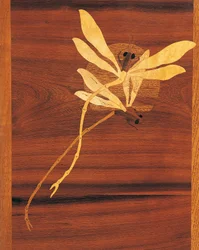Szitakötők, részlet szecessziós stílusú szekrényből, kb 1900, Emile Galle (1846-1904), faragott és intarziás diófa, Franciaország, XX. század