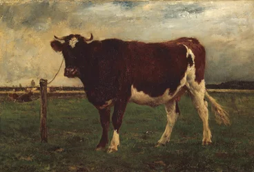 Tanulmány egy tehénről, 1870?90