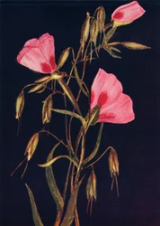 Tavaszbúcsú, c1915, 1915