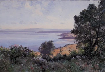 Douarnenez búza és fák kilátásban