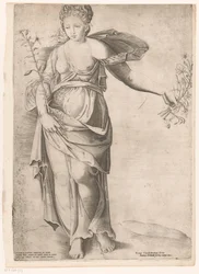 Proserpina növényvilága Mirror of Roman Magnificence (sorozat címe)