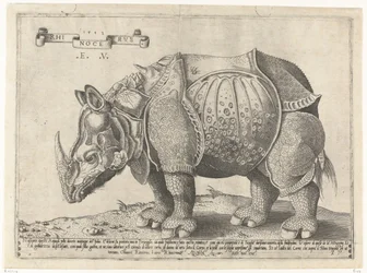 Neushoorn Rhinocerus (cím a tárgyon)