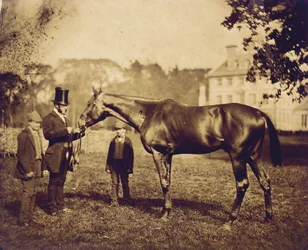 Vad Dayrell, a Derby győztese 1856-ban