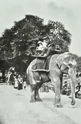 Zoological Gardens, Regents Park: elefántlovaglás, London, 1895 körül