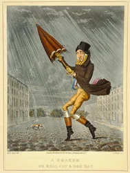 A Soaker vagy a valódi macska és kutya napja, metszett G. Hunt, kiadó: Thomas McLean, London, 1827 (színes rézkarc)