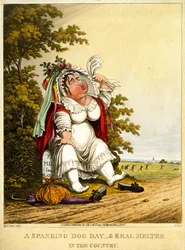 Egy fenekelő kutyanap és igazi olvasztó a vidéken, George Hunt metszete, Thomas McLean, London, 1827