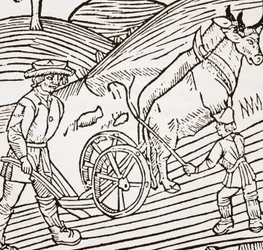 Ekéhez kötött ökörpár, John Fitzherberts Boke of Husbandry címlapja, első kocsma. 1523