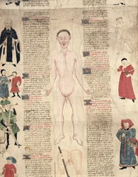Anatómiai diagram, John Ardene De arte phisicali e de cirugia című művéből, 1412